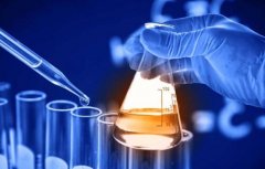 REACH�J�C��Ҫ�ṩ��Щ�Y��,������ʲô?