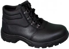 ���oЬ����CE�J�C�|(zh��)��Ҫ���